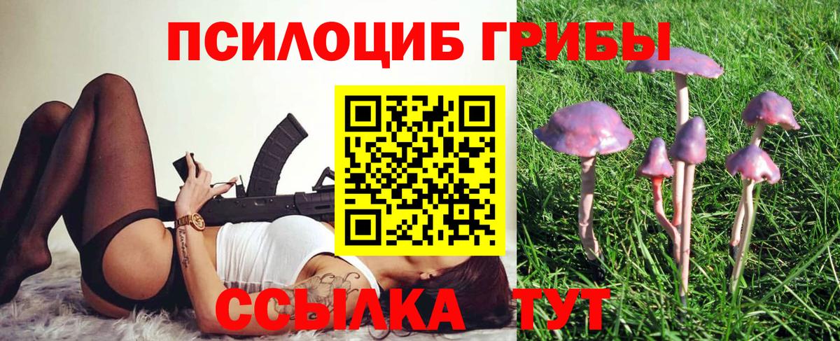 Людиново  Псилоцибиновые грибы MAGIC MUSHROOMS  Галлюциногенные грибы MAGIC MUSHROOMS  Вход с VPN 