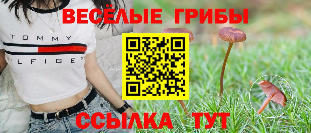 Псилоцибиновые грибы Psilocybe Людиново